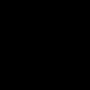 Meet your Posher, Remy